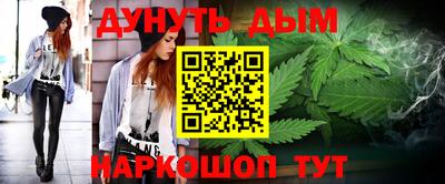 дмт Славгород