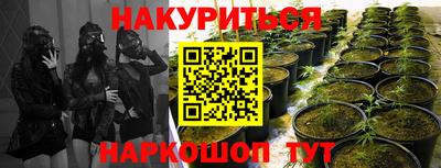 дмт Славгород